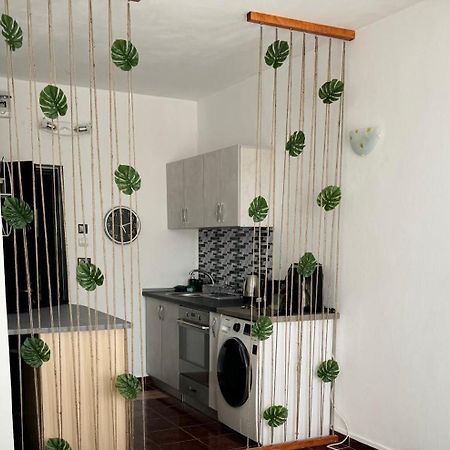 Apartament Garsoniera Saturn Mangalia Zewnętrze zdjęcie